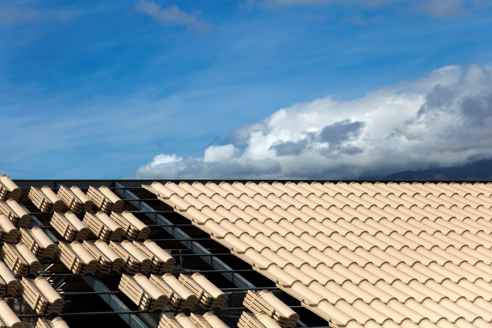 Commercial campus and multi-building roofing project